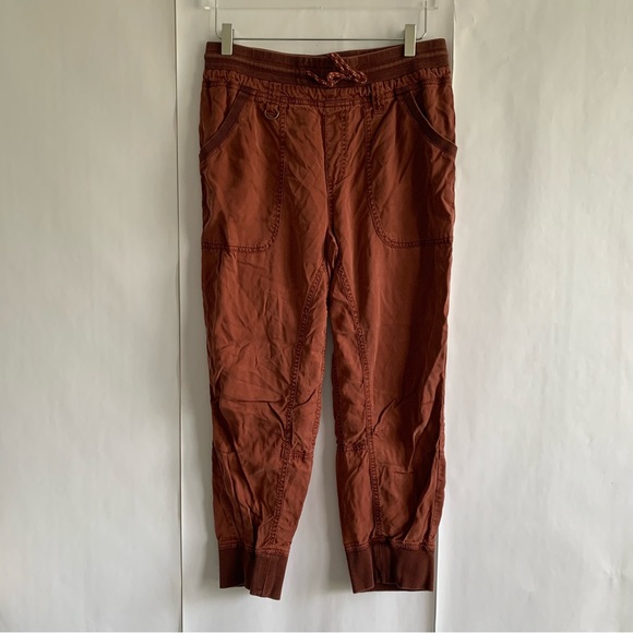 Anthropologie Pilcro Mallory Jogger Pants brick - Picture 3 of 12